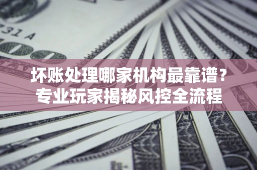 武汉坏账处理哪家机构最靠谱？专业玩家揭秘风控全流程