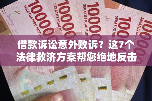 武汉借款诉讼意外败诉？这7个法律救济方案帮您绝地反击！