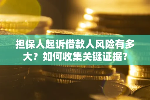 武汉担保人起诉借款人风险有多大？如何收集关键证据？