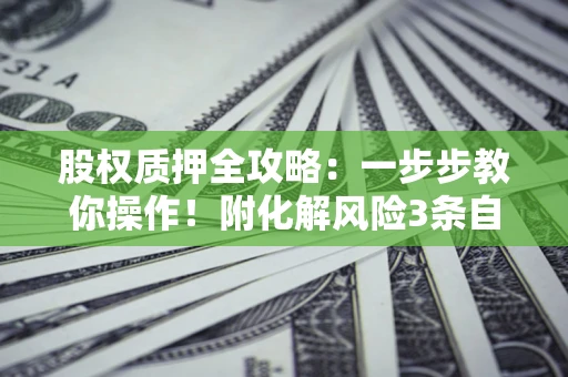 武汉股权质押全攻略：一步步教你操作！附化解风险3条自救法则