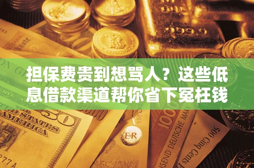 武汉担保费贵到想骂人？这些低息借款渠道帮你省下冤枉钱