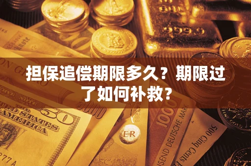 武汉担保追偿期限多久？期限过了如何补救？