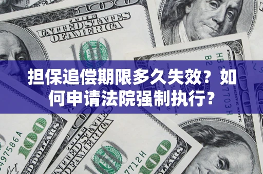 武汉担保追偿期限多久失效？如何申请法院强制执行？