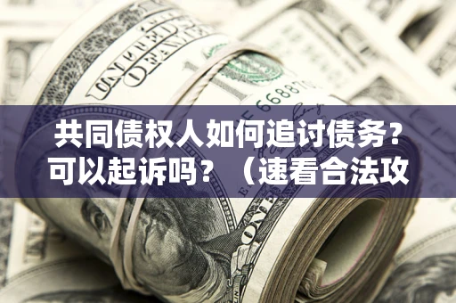 武汉共同债权人如何追讨债务？可以起诉吗？（速看合法攻略）