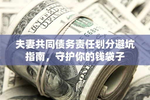 武汉夫妻共同债务责任划分避坑指南，守护你的钱袋子