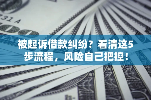 武汉被起诉借款纠纷？看清这5步流程，风险自己把控！