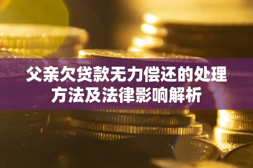 武汉父亲欠贷款无力偿还的处理方法及法律影响解析