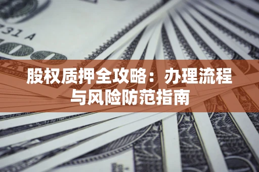 武汉股权质押全攻略：办理流程与风险防范指南